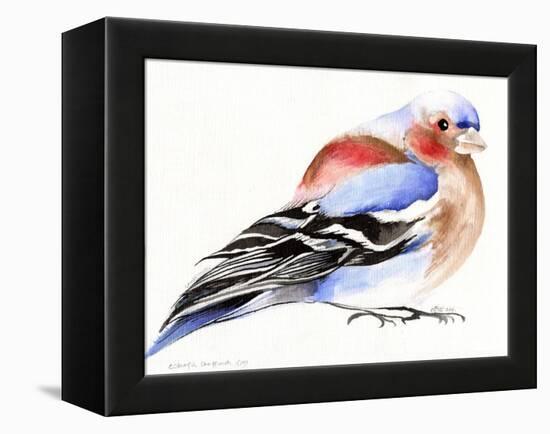 Colourful Chaffinch, 2011-Nancy Moniz-Framed Premier Image Canvas