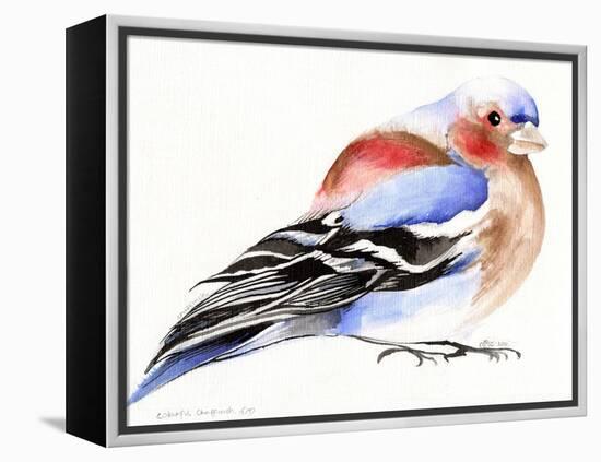 Colourful Chaffinch, 2011-Nancy Moniz-Framed Premier Image Canvas