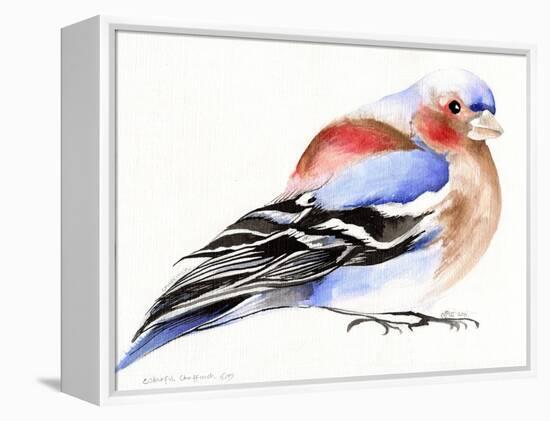 Colourful Chaffinch, 2011-Nancy Moniz-Framed Premier Image Canvas