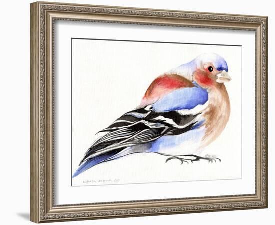 Colourful Chaffinch, 2011-Nancy Moniz-Framed Giclee Print