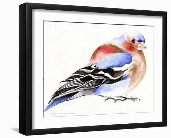 Colourful Chaffinch, 2011-Nancy Moniz-Framed Giclee Print