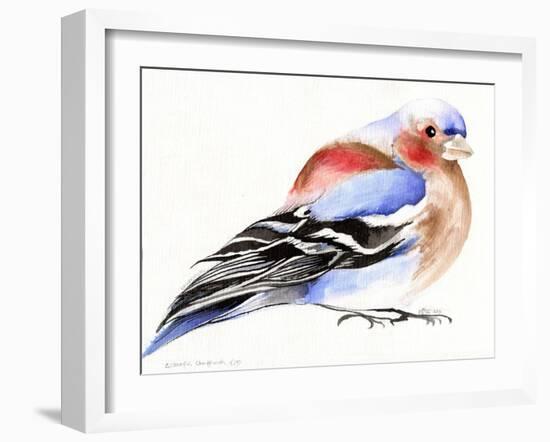 Colourful Chaffinch, 2011-Nancy Moniz-Framed Giclee Print