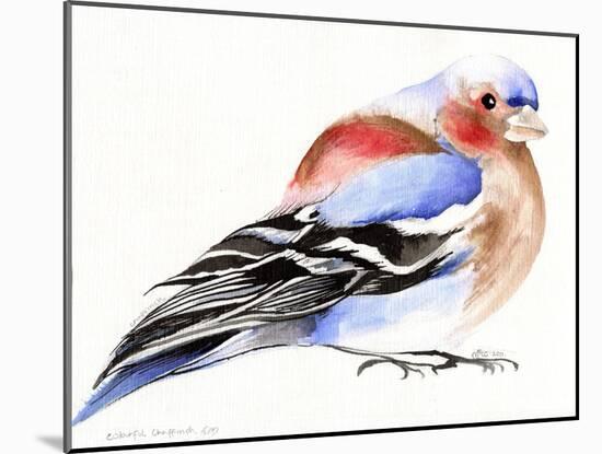 Colourful Chaffinch, 2011-Nancy Moniz-Mounted Giclee Print