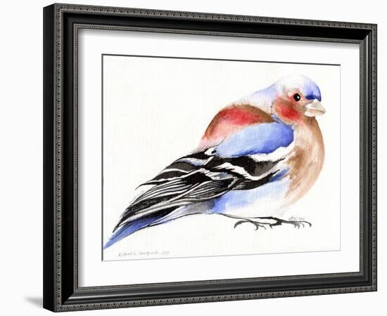 Colourful Chaffinch, 2011-Nancy Moniz-Framed Giclee Print