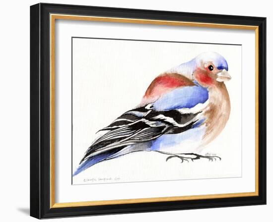 Colourful Chaffinch, 2011-Nancy Moniz-Framed Giclee Print