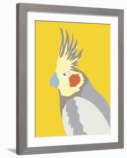 Colourful Cockatiel-Clara Wells-Framed Giclee Print