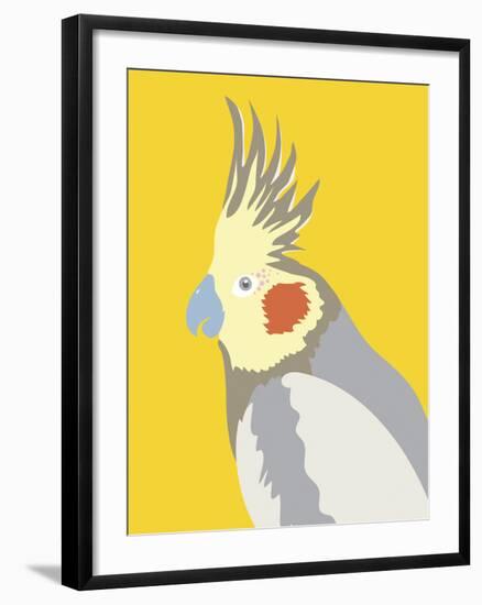 Colourful Cockatiel-Clara Wells-Framed Giclee Print