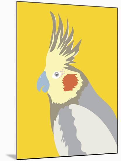 Colourful Cockatiel-Clara Wells-Mounted Giclee Print