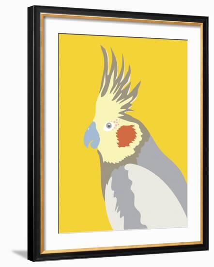 Colourful Cockatiel-Clara Wells-Framed Giclee Print