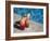 Colourful Cocktails by the Pool, Punta Cana, Dominican Republic, West Indies, Caribbean, Central Am-Frank Fell-Framed Photographic Print