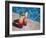Colourful Cocktails by the Pool, Punta Cana, Dominican Republic, West Indies, Caribbean, Central Am-Frank Fell-Framed Photographic Print