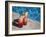 Colourful Cocktails by the Pool, Punta Cana, Dominican Republic, West Indies, Caribbean, Central Am-Frank Fell-Framed Photographic Print