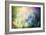 Colourful Dew-Ursula Abresch-Framed Photographic Print