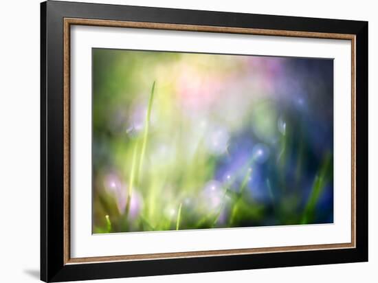 Colourful Dew-Ursula Abresch-Framed Photographic Print