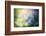 Colourful Dew-Ursula Abresch-Framed Photographic Print