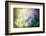 Colourful Dew-Ursula Abresch-Framed Photographic Print