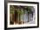 Colourful Doorways in Cartagena De Indias, Colombia-Natalie Tepper-Framed Photo