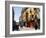 Colourful Facades, Galway, County Galway, Connacht, Eire (Republic of Ireland)-Ken Gillham-Framed Photographic Print