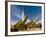 Colourful Fishing Boats at the Fishing Habour, Nouakchott, Mauritania, Africa-Michael Runkel-Framed Photographic Print