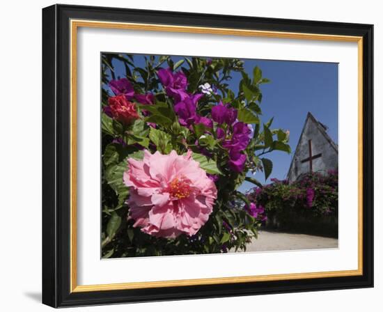 Colourful Flowers and Church in the Pastaza River Valley, Near Banos, Ambato Province, Ecuador-Robert Francis-Framed Photographic Print