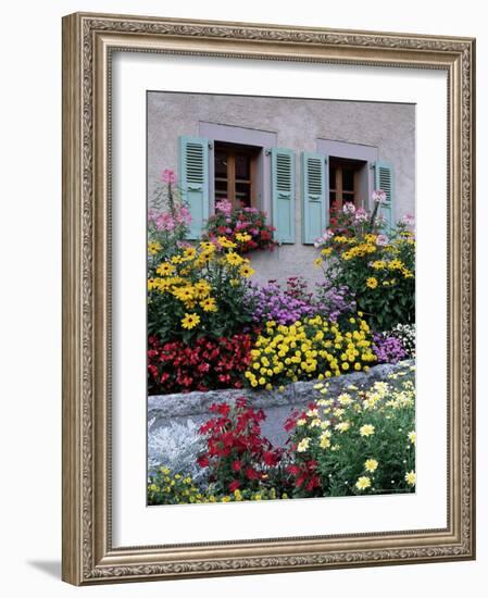 Colourful Garden Flowers and Green Shutters, Servoz, Near Chamonix, Rhone-Alpes, France-Ruth Tomlinson-Framed Photographic Print