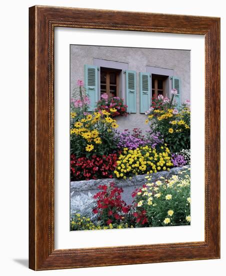 Colourful Garden Flowers and Green Shutters, Servoz, Near Chamonix, Rhone-Alpes, France-Ruth Tomlinson-Framed Photographic Print