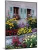 Colourful Garden Flowers and Green Shutters, Servoz, Near Chamonix, Rhone-Alpes, France-Ruth Tomlinson-Mounted Photographic Print