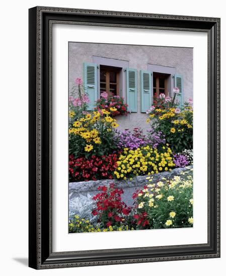 Colourful Garden Flowers and Green Shutters, Servoz, Near Chamonix, Rhone-Alpes, France-Ruth Tomlinson-Framed Photographic Print