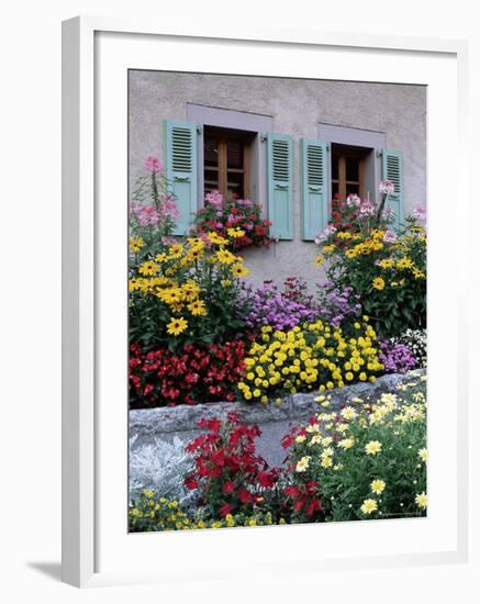 Colourful Garden Flowers and Green Shutters, Servoz, Near Chamonix, Rhone-Alpes, France-Ruth Tomlinson-Framed Photographic Print