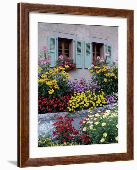 Colourful Garden Flowers and Green Shutters, Servoz, Near Chamonix, Rhone-Alpes, France-Ruth Tomlinson-Framed Photographic Print