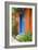 Colourful House, Assos, Kefalonia, Greece-Peter Thompson-Framed Photographic Print