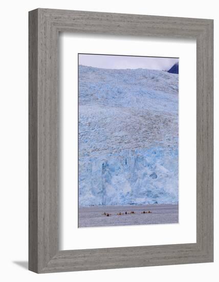 Colourful kayaks, Aialik Glacier, blue ice, Harding Icefield, Kenai Fjords National Park, near Sewa-Eleanor Scriven-Framed Photographic Print