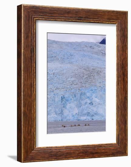 Colourful kayaks, Aialik Glacier, blue ice, Harding Icefield, Kenai Fjords National Park, near Sewa-Eleanor Scriven-Framed Photographic Print