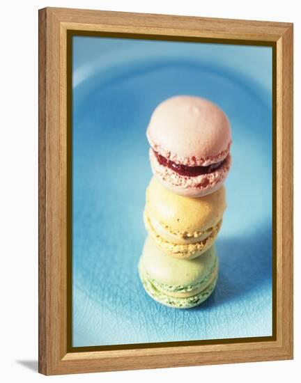 Colourful Macarons (Small French Cakes)-Isabelle Rozenbaum-Framed Premier Image Canvas