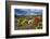 Colourful Moss on an Island in the Beagle Channel-Michael Runkel-Framed Photographic Print