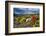 Colourful Moss on an Island in the Beagle Channel-Michael Runkel-Framed Photographic Print