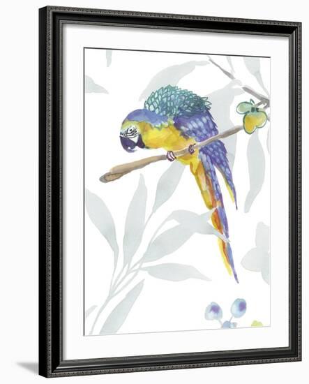 Colourful Parrot-Sandra Jacobs-Framed Giclee Print