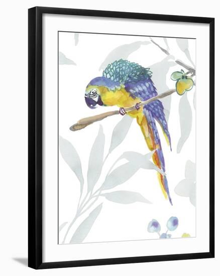 Colourful Parrot-Sandra Jacobs-Framed Giclee Print