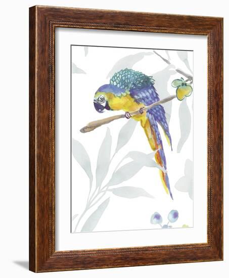 Colourful Parrot-Sandra Jacobs-Framed Art Print