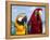 Colourful Parrots, Punta Cana, Dominican Republic, West Indies, Caribbean, Central America-Frank Fell-Framed Premier Image Canvas