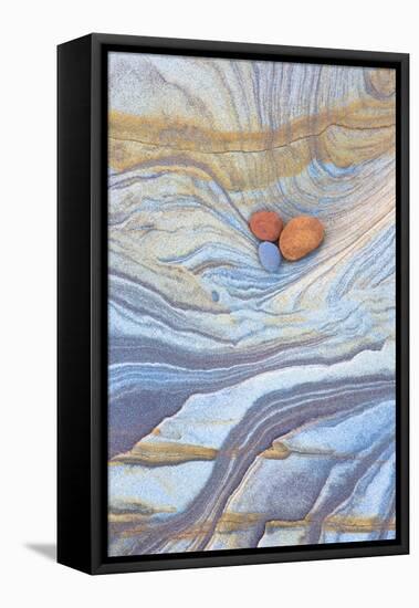 Colourful Patterns Created by Sea Erosion on Rocks Revealed at Low Tide on Spittal Beach-Lee Frost-Framed Premier Image Canvas