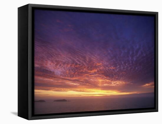 Colourful Skies at Dusk, over Seascape, New Zealand, Pacific-Jeremy Bright-Framed Premier Image Canvas