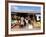 Colourful Souvenir Shop, Speyside, Tobago, West Indies, Caribbean, Central America-Yadid Levy-Framed Photographic Print