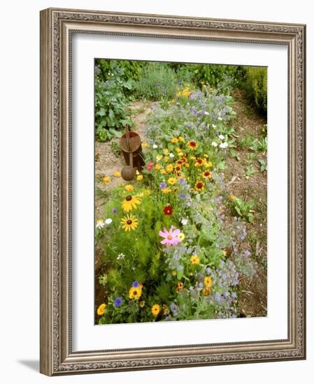 Colourful Summer Flowers in Garden-Ottmar Diez-Framed Photographic Print