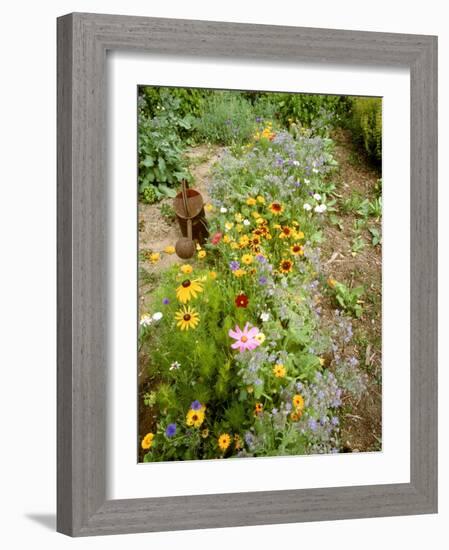 Colourful Summer Flowers in Garden-Ottmar Diez-Framed Photographic Print