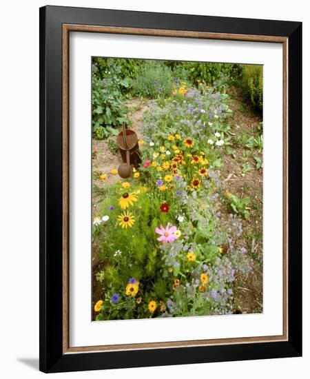 Colourful Summer Flowers in Garden-Ottmar Diez-Framed Photographic Print