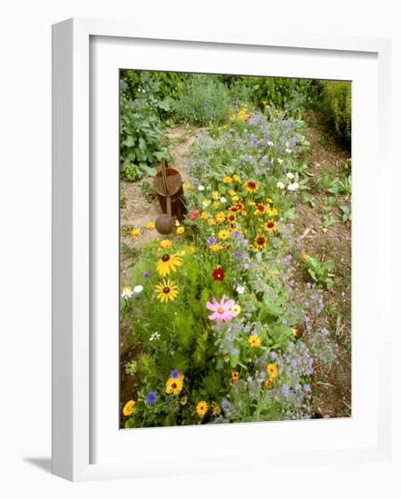 Colourful Summer Flowers in Garden-Ottmar Diez-Framed Photographic Print