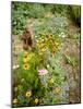 Colourful Summer Flowers in Garden-Ottmar Diez-Mounted Photographic Print