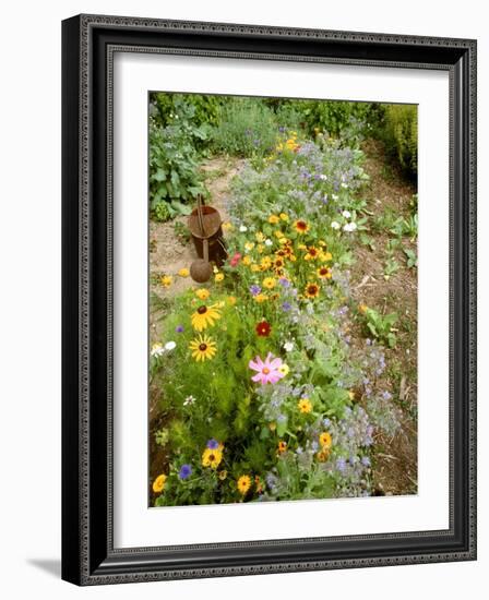 Colourful Summer Flowers in Garden-Ottmar Diez-Framed Photographic Print