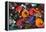 Colourful Tajines, Essaouira, Atlantic Coast, Morocco, North Africa, Africa-Stuart Black-Framed Premier Image Canvas